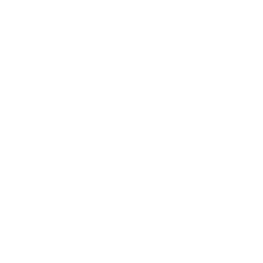Vibrant Community